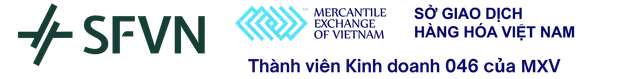 SFVN Partner